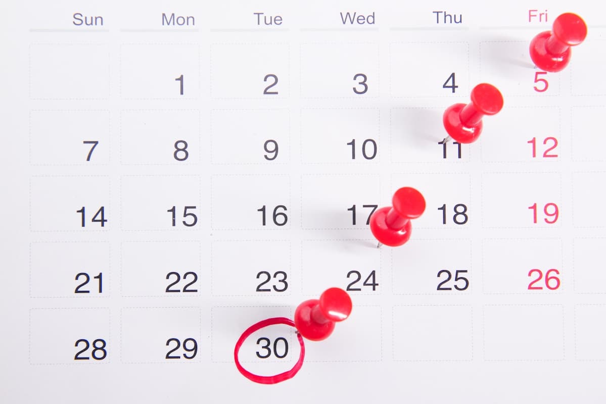 Calendar with important renewal dates marked